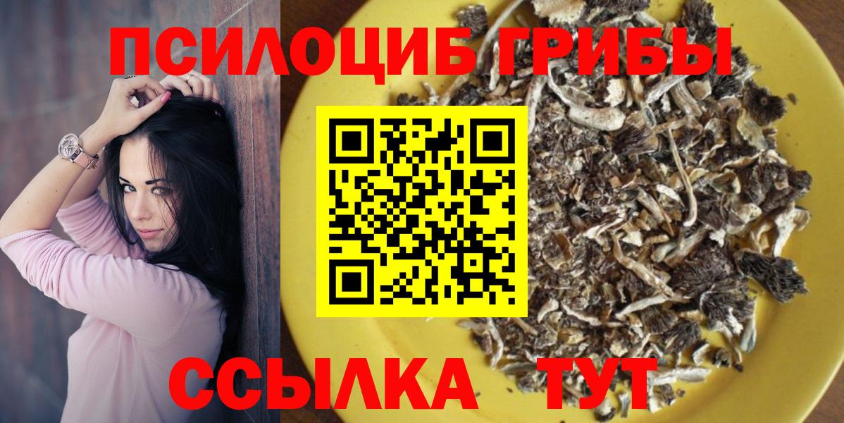 Псилоцибиновые грибы Psilocybe Калининград