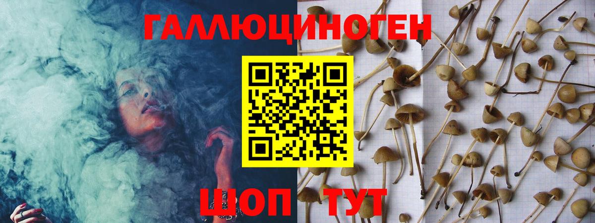 Калининград  Псилоцибиновые грибы Psilocybe  Вход с VPN 